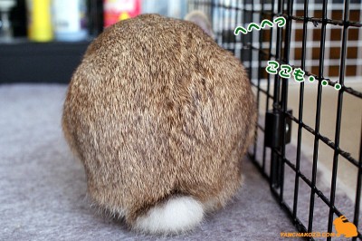 へへへっ！