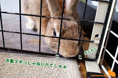 ズボッじゃないでしゅぉ