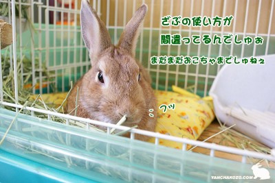 フッ フッ