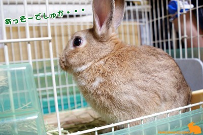 あっそ