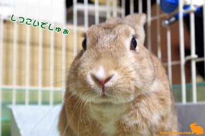 おっさん？