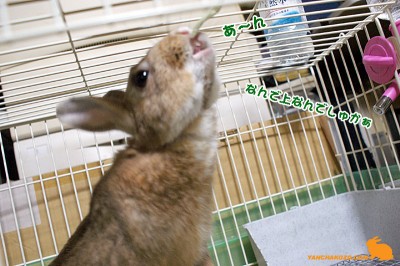 穂先で釣る