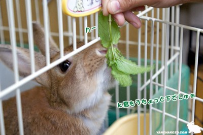 んーもうちょっと下