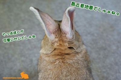 最近意地悪でしゅぉねぇ