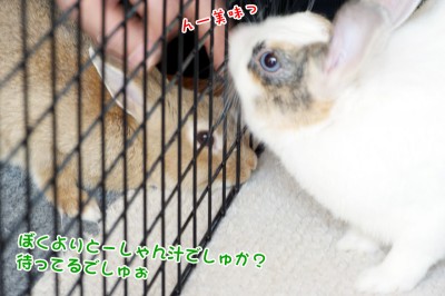 Chocoいつまでも待つわ♪