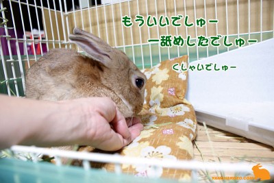 もういいでしゅー