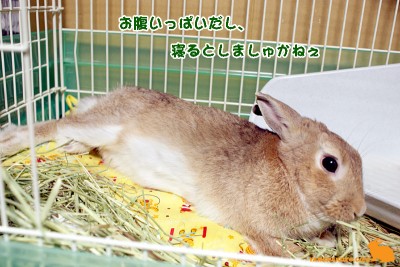 寝る?