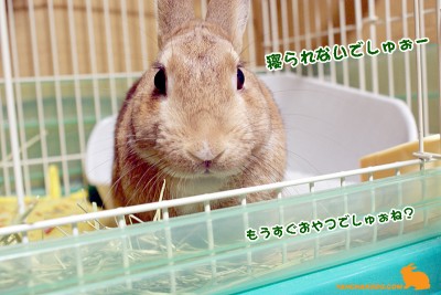 おやつの時間?