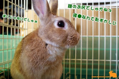 誰のお尻？
