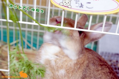 ホントでしゅねぇ