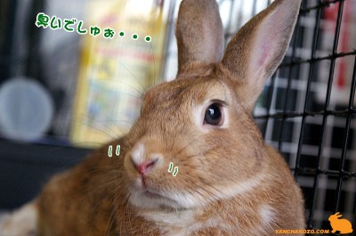 臭いでしゅぉ・・・