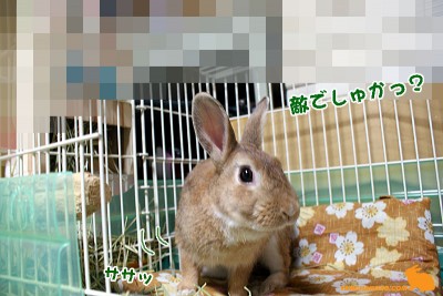 敵? 敵?