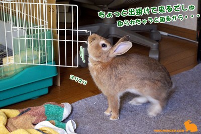 choco行って来ましゅ