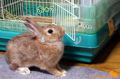 おぉ！ビックリでしゅぉー