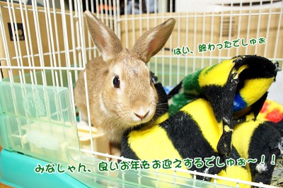 choco良いお年を！