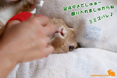足はダメでしゅぉー 足はダメでしゅぉー