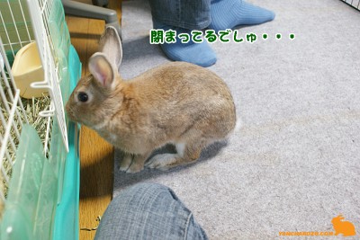 閉まってる
