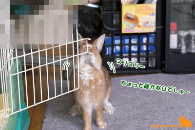 届かない