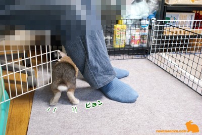 足くぐる