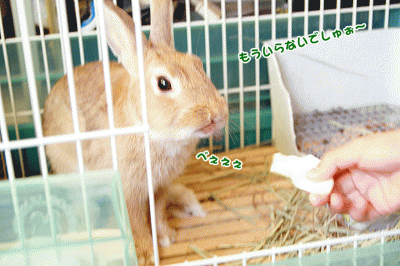 chocoべぇぇぇ