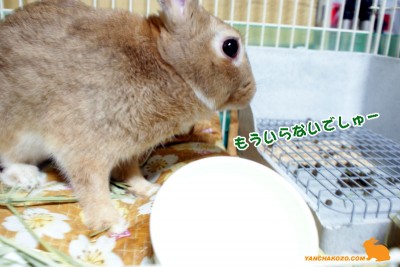 いらないでしゅー