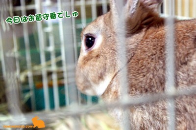 ボヤキ？