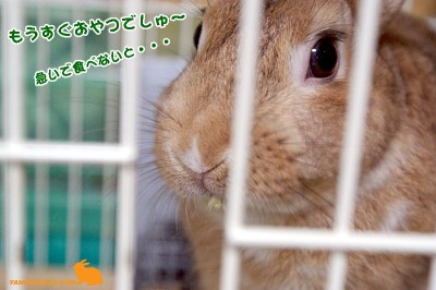もうすぐおやつ もうすぐおやつ