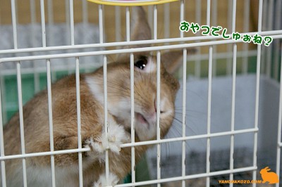 確認 確認