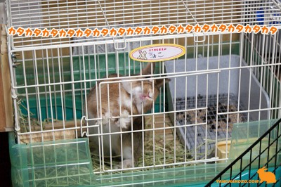 踏ん張ってカタカタ 踏ん張ってカタカタ