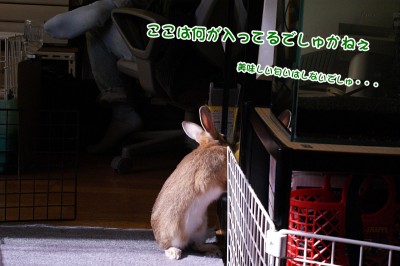 choco何入ってる？