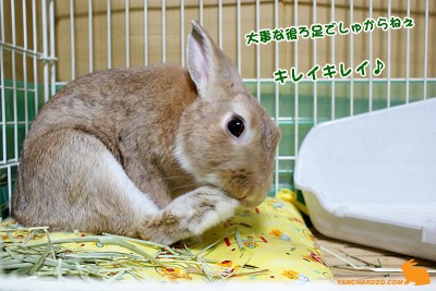 大事な足もキレイに