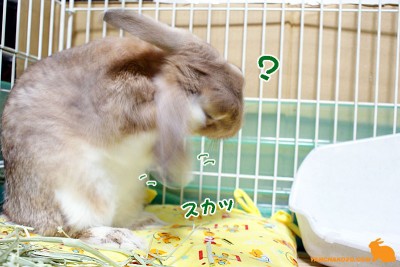 スカッ