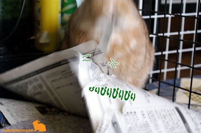 chocoびりびりびり
