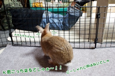 chocoｋ君を呼ぶ？