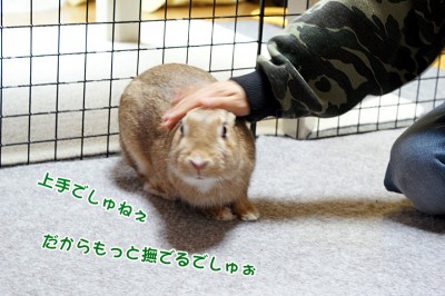 chocoｋ君を誉める