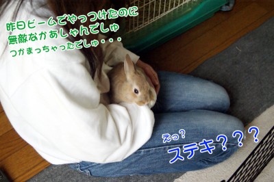 Choco抱っこ講座
