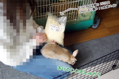 でかパイン