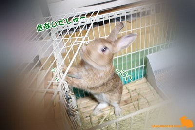 ヨロヨロ・・・