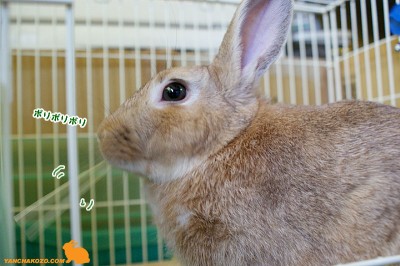 食べるのに一生懸命
