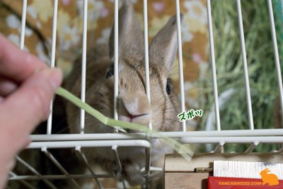 ズボッしちゃった