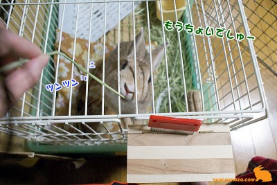 もうちょっと