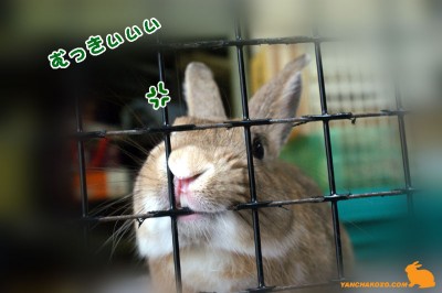 むっっきぃぃぃ