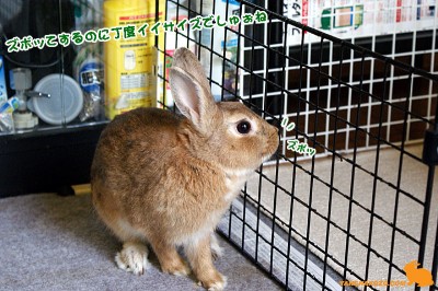 決まって鼻ズボッ