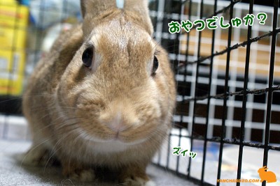 ズイッ