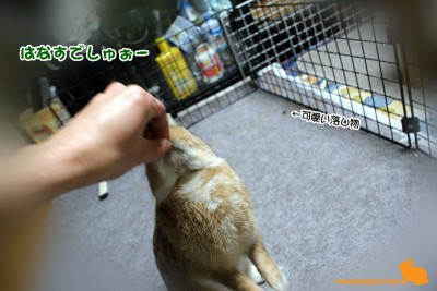 はなすでしゅぉ