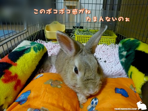 ボコボコ感が