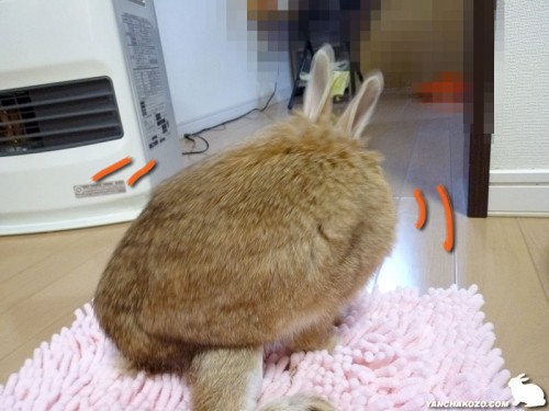 これくらい、出来る!