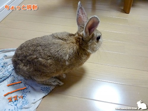 気を取り直して