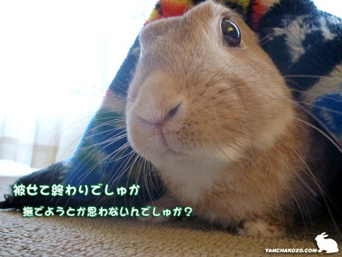 被せて終わり？