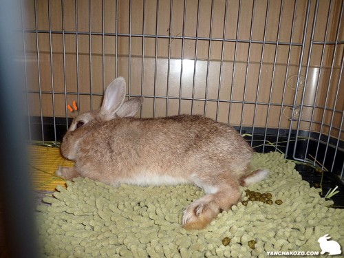 気が付いたよぉ